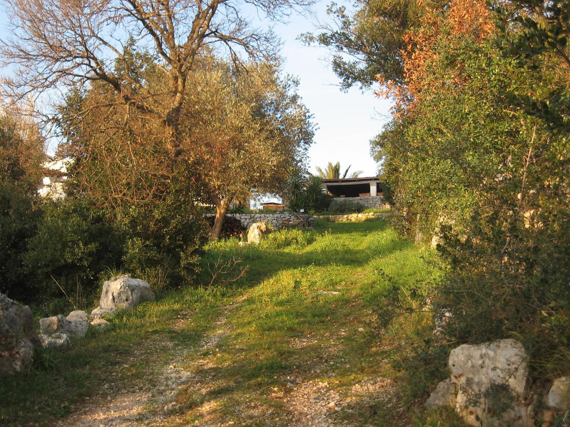 B&B Cinque Stalle Monopoli Zewnętrze zdjęcie