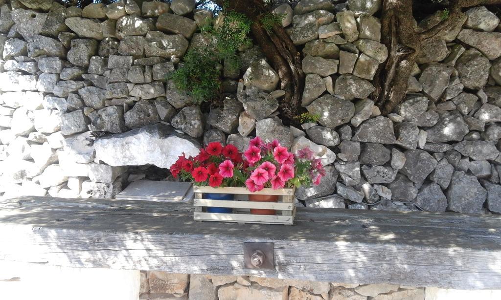 B&B Cinque Stalle Monopoli Zewnętrze zdjęcie